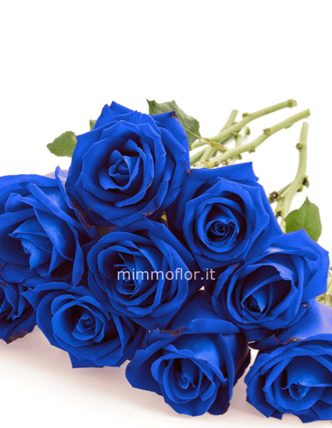 Rose blu CONTATTARE PER DISPONIBILITA´ » Fiorista a Bari , invio e